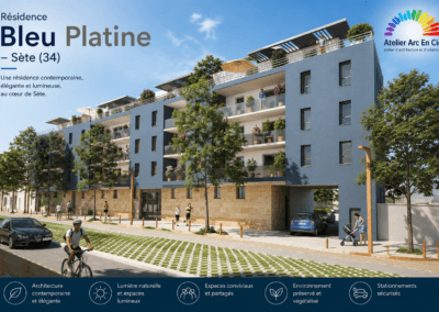 Bleu Platine